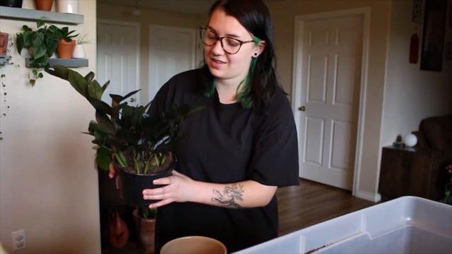 Let's do some plant chores! | Plant Chores Vlog смотреть онлайн