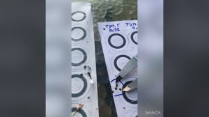 Самодельные полнотелые и пустотелые пули для калибра 4.5мм / Testing homemade slugs for .177 calibe