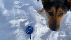 ЛЕЩИ НЕ ЛЕЗУТ В 130 ЛУНКУ!/ВЫЛОВИЛ ВСЕХ/Рыбалка на тонкую леску