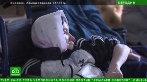 В Ленобласти показали, как живут и работают пациенты психоневрологического интерната