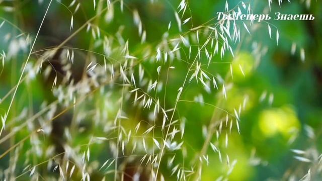 6 Мая день Георгия Победоносца. Юрьев день. Что нельзя делать. Народные традиции, приметы, суеверия