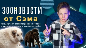 ЗооНовости от Сэма