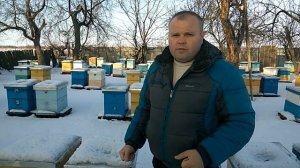 Многокорпусное содержание. Зимовка в двух корпусах Рут.