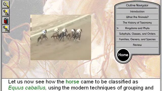 Biology: Animal Classification: Kingdoms and Phyla