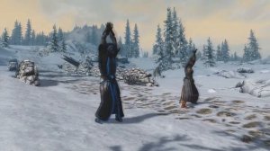 [Skyrim] Танцы