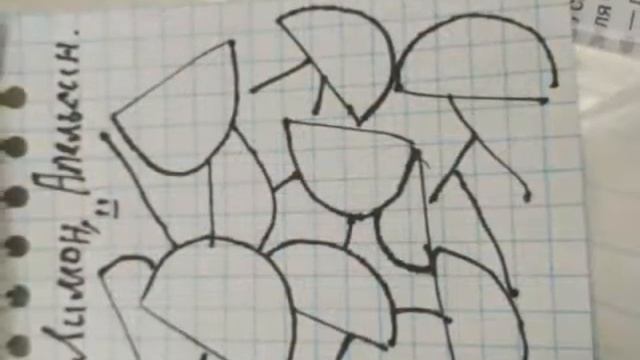 Дольки лимона и апельсина поэтапно смотреть онлайн