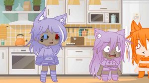 Когда на кухне включают свет... (меме GCMV)