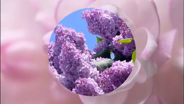 ЛЮДМИЛЕ.mp4 смотреть онлайн