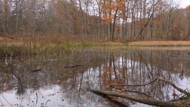 Хмурый ноябрь смотреть онлайн