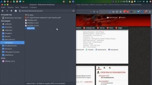 Настройка VLC