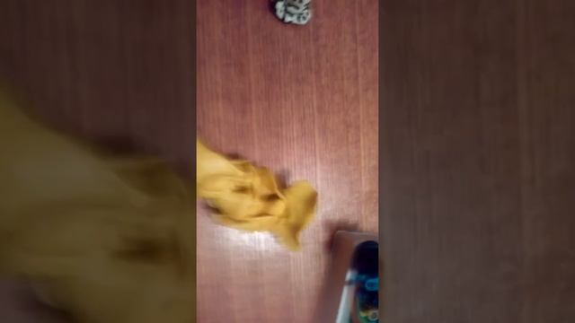 Интересные поделки из пластилина смотреть онлайн