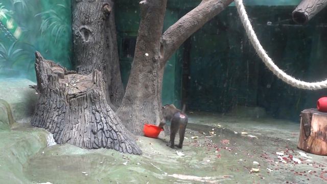 2,11,23 зоопарк смотреть онлайн