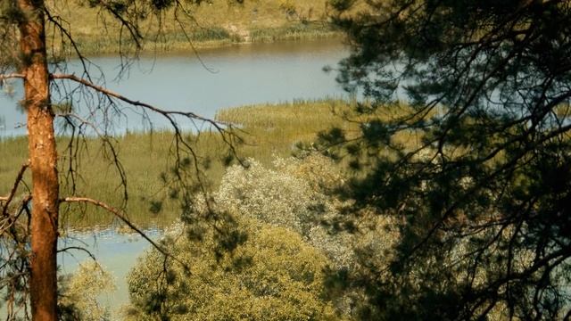 «Солотчинский парк»