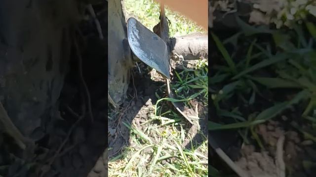 Фрезы культиватора точить или нет? смотреть онлайн