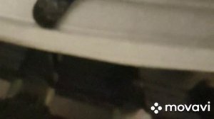 Замена склиз на Yamaha RS Viking Professional