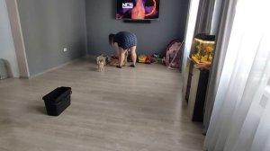 Запустила дом • Убирайся со мной • Мотивация на уборку • Уборка в доме 120кв • Чистый дом