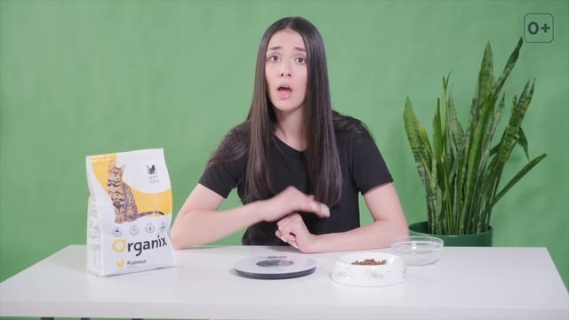 СКОЛЬКО ДАВАТЬ СУХОГО КОРМА И КАК ЕГО ХРАНИТЬ?
