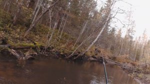ДИКАЯ РЫБАЛКА В ХАБАРОВСКОМ КРАЕ " НА АМУРЕ " !!! BEST RUSSIAN FISHING !!!