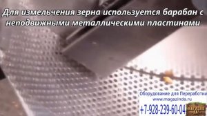 Зернодробилка Эликор 1 1 Зерно + Корнеплоды