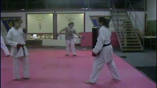 Shotokan Karate Edzés (Shotokan Karate training) смотреть онлайн