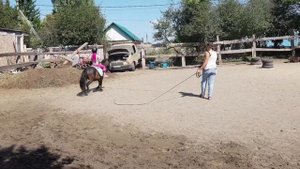 Оля на Поле :-)). Тренировка на пони учебная рысь+упражнения.