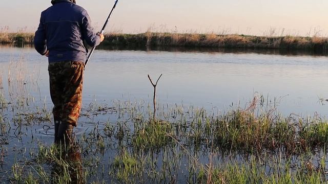 Рыбалка на реке Чулым (Новосибирская обл.) в поисках Сазана... #Чулым #рыбалкаскомфортом
