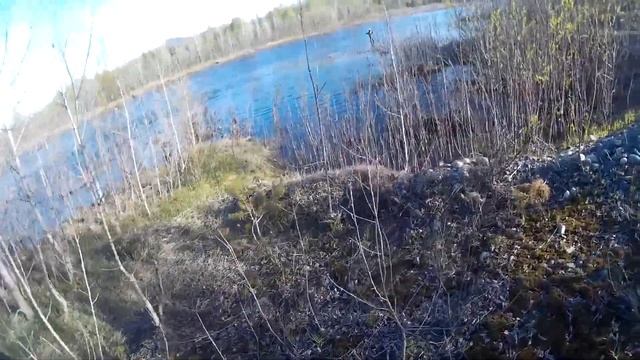 Открытая вода Вечерняя рыбалка после запрета на хариуса на обманку р. Казыр  25 мая
