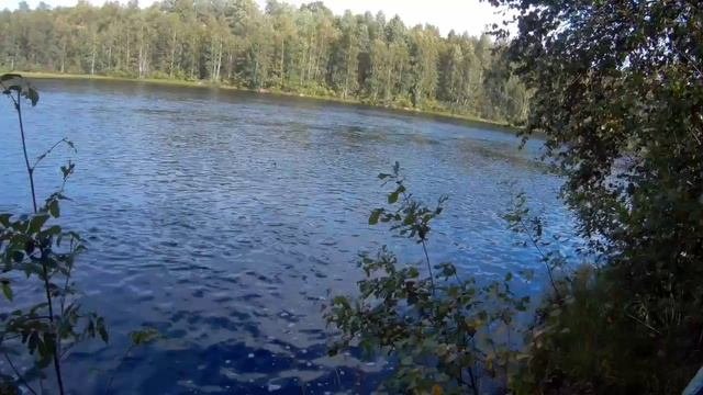 Путешествие в Карелию 2020. Часть 6я.
#рыбалка#природа#карелия