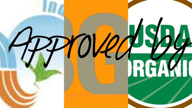 Best Green Tea Camellia sinensis смотреть онлайн