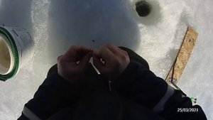 Рыбалка Форель на Верховку и Доширак