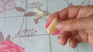 САЛАТ из МИВИНЫ с плавленым сырком.