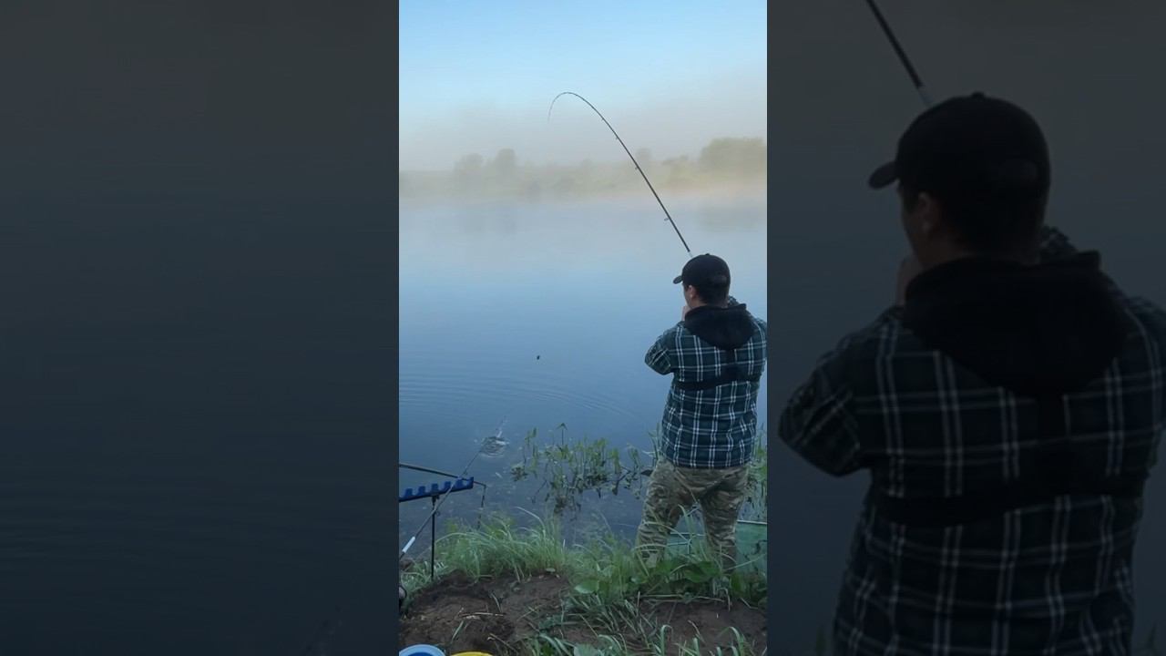 Отличный УЛОВ утром на реке смотреть онлайн