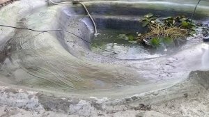 Пруд на участке своими руками спустя шесть лет, выкачиваем воду!