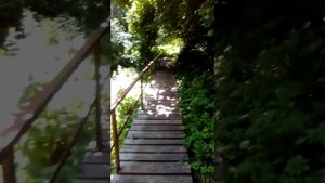 шамордино святой источник Калужская область