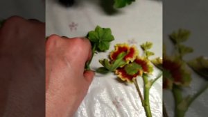 #049 Ужасная посылка с черенками пеларгонии