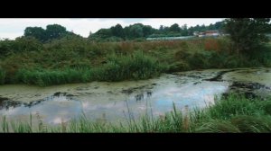 Новая Романовка (Романовка) (Мглинский район)