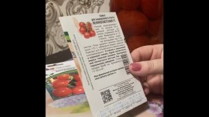 Самые урожайные сорта томатов (для теплицы -для засолки)