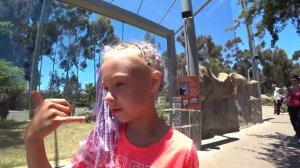 ДАША В SAN DIEGO ZOO. ОДИН ИЗ САМЫХ КРУПНЫХ ЗООПАРКОВ В МИРЕ