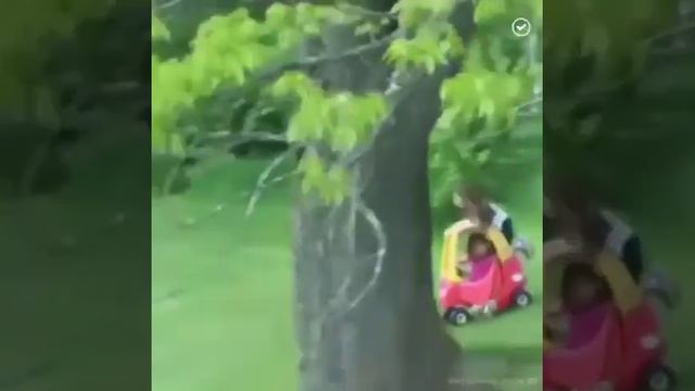 Папа мой папа смотреть онлайн