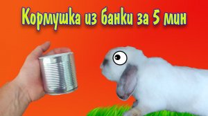 Кормушка для кролика своими руками за 5 минут