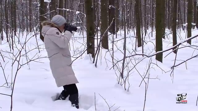 День русской зимы  Красота зимней природы в лесу  Москва
