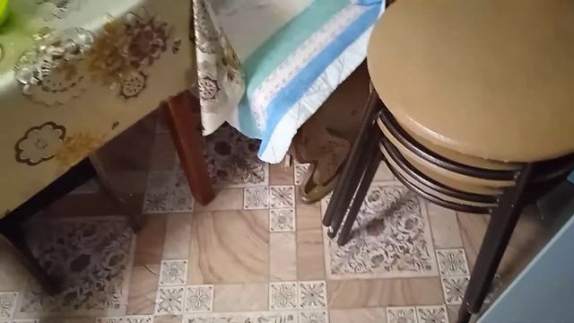 ХОЛОДЕЦ ИЗ ГУСЯ, РАСТАПЛИВАЕМ ЖИР смотреть онлайн