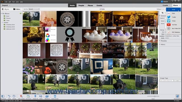 Photoshop Elements 2020 Tutorial Sharing Your Creations Adobe Training смотреть онлайн