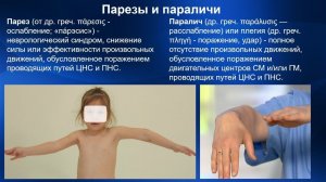2.29. Массаж при парезах, параличах | Медицинский массаж. Цикл 2