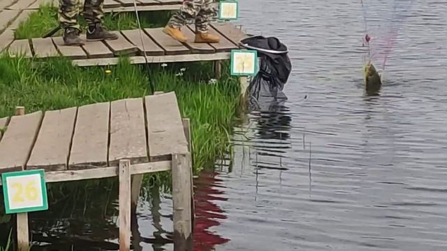 Каньон - рыбалка и отдых в Подмосковье. #паркотдыхаирыбалкиканьон смотреть онлайн