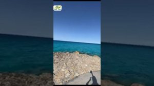 Пляж отеля Rixos Alamein 5*