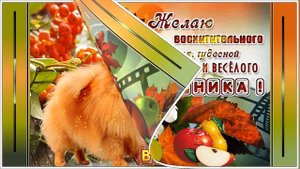 Доброго осеннего вторника,друзья!!! Муз Т Максимова Исп С Салова Монтаж О Саловой