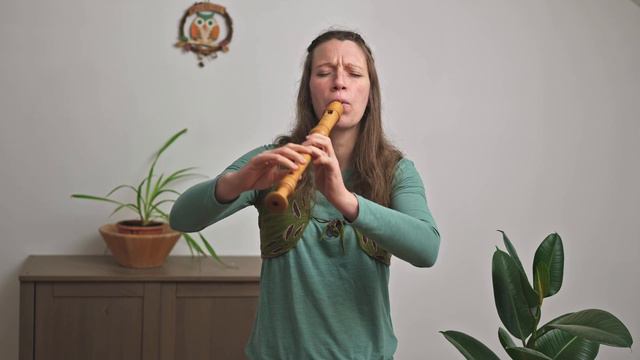 Farewell to Erin - Irish traditional on alto recorder смотреть онлайн