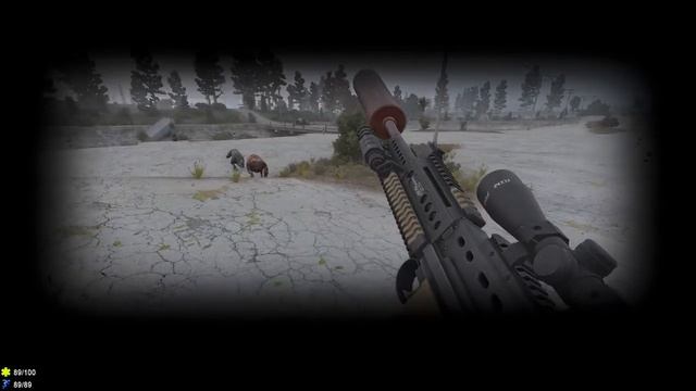 S.T.A.L.K.E.R.: Беларусь / Сталкер кооператив/ # 30 Самое сложное задание (финал)