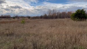 Охота на куропатку с курцхааром | Октябрь 2022